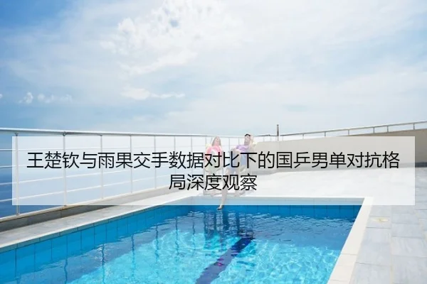 王楚钦与雨果交手数据对比下的国乒男单对抗格局深度观察