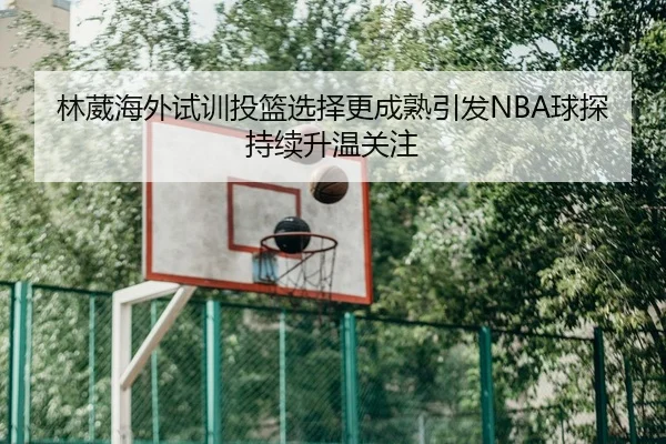 林葳海外试训投篮选择更成熟引发NBA球探持续升温关注