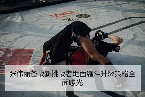 张伟丽备战新挑战者地面缠斗升级策略全面曝光